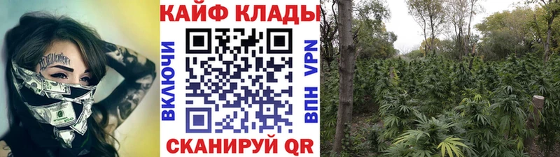Магазин наркотиков Ершов COCAIN  МЕГА зеркало  Галлюциногенные грибы  Меф мяу мяу  МАРИХУАНА  Амфетамин 