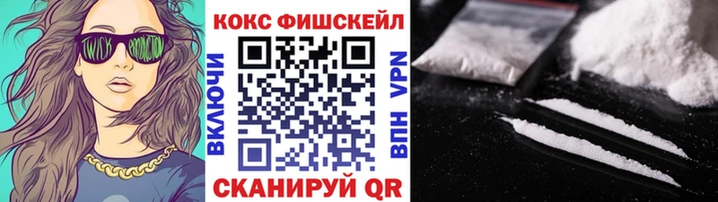 COCAIN Fish Scale  где можно купить   Ершов 