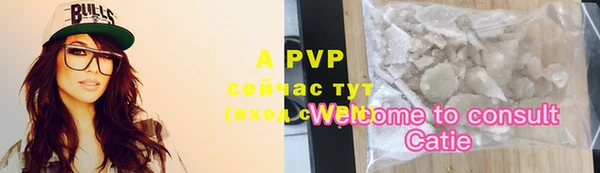 ECSTASY Струнино