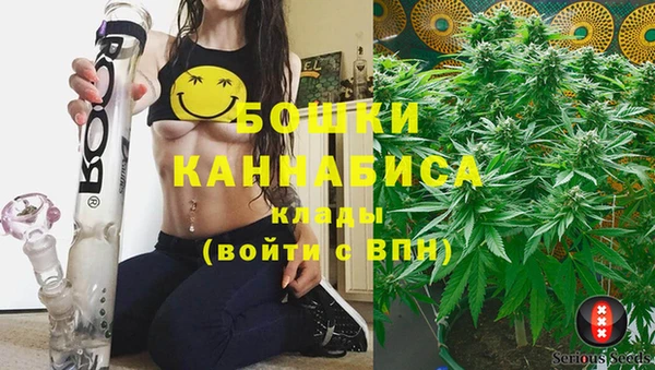 Альфа ПВП Белокуриха