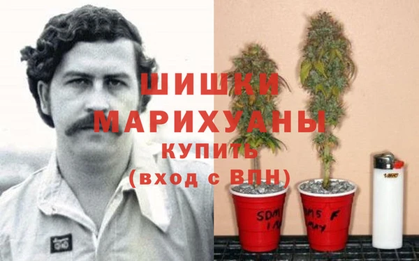 ешки Белоозёрский