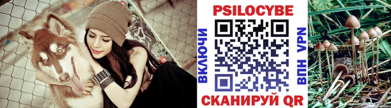 Галлюциногенные грибы ЛСД Ершов